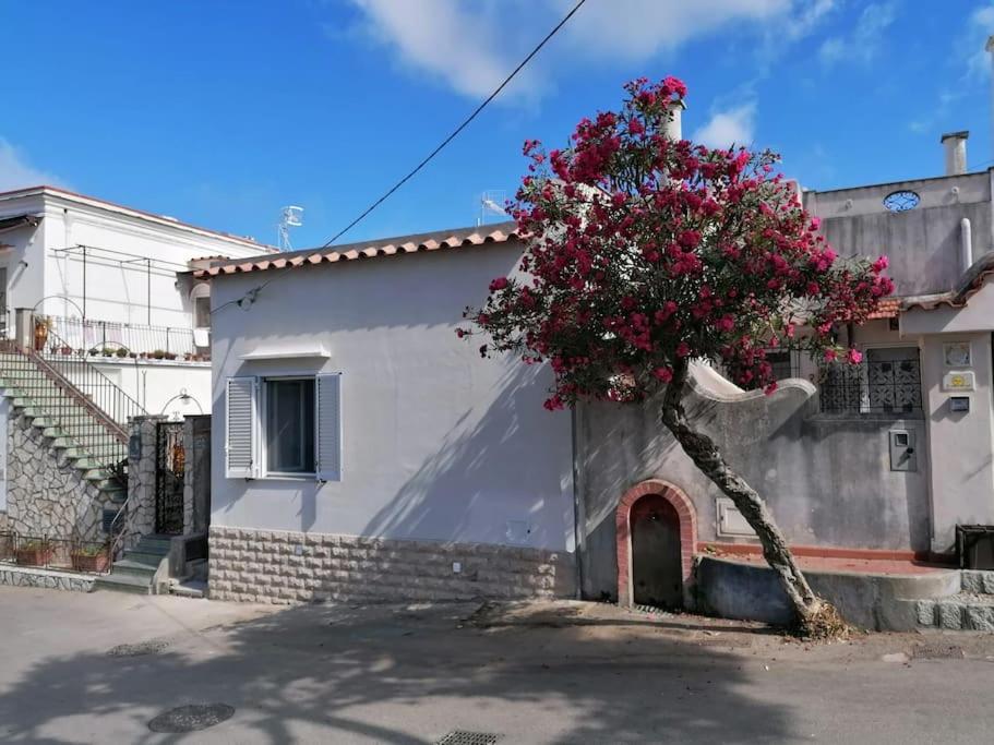 Sweet Home, Anacapri Esterno foto